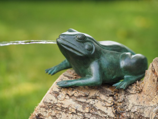 Bronzefrosch