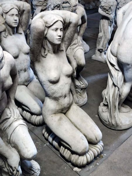 Frauenakt Lady