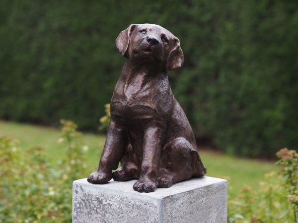 Bronzefigur Labrador