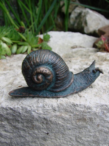 Schnecke Bronze