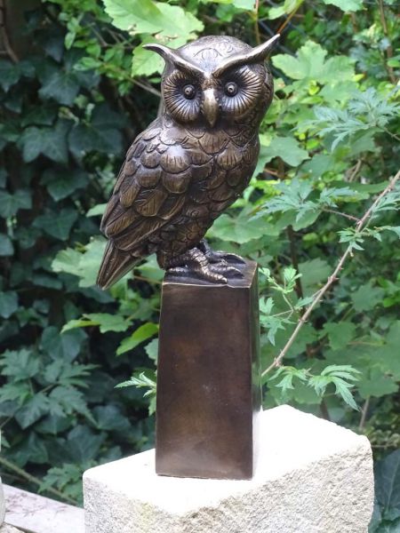 Bronzeeule
