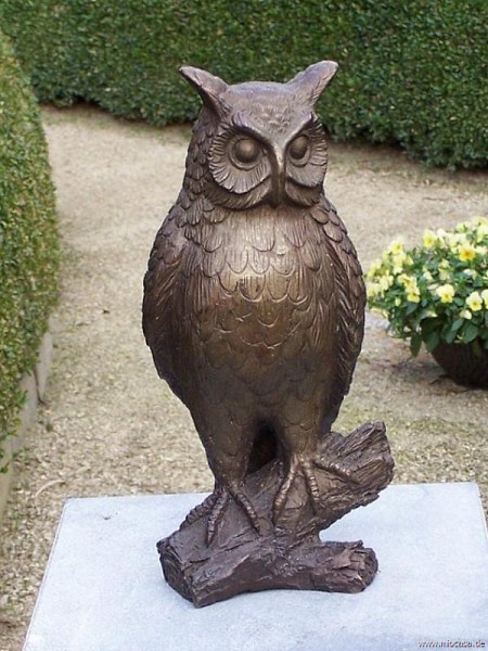 Bronzeeule