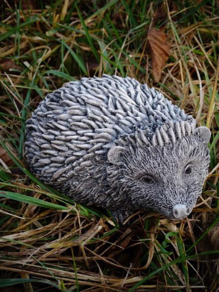 Igel Baby