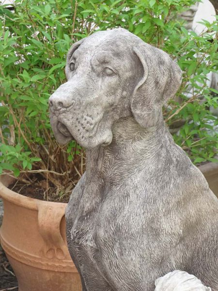 Dogge lebensgroß - realistische Hundskulptur aus Stein