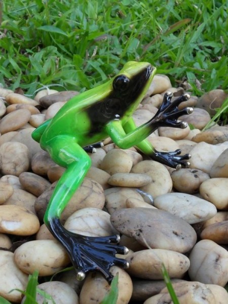 Bronze Frosch Regenwald grün