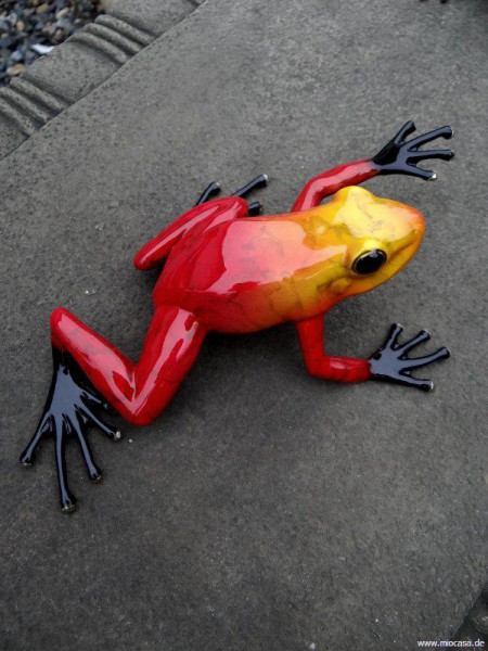 Regenwaldfrosch Bronze