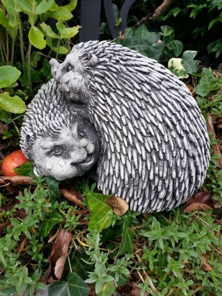 Igel Pärchen