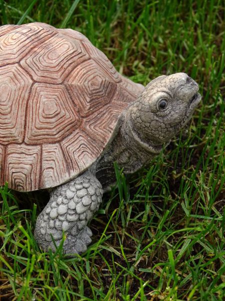 Schildkröte aus Stein