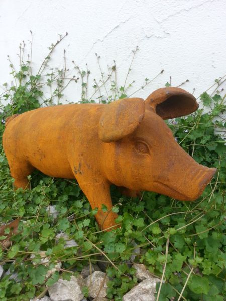 Schwein Gusseisen