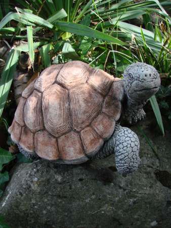 Schildkröte Gartenfigur