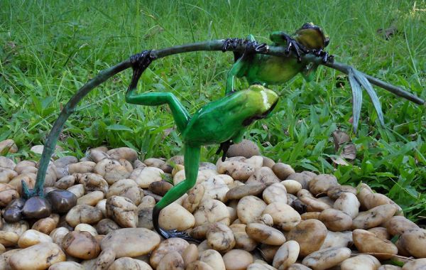 Regenwald-Frosch grün auf Zweig