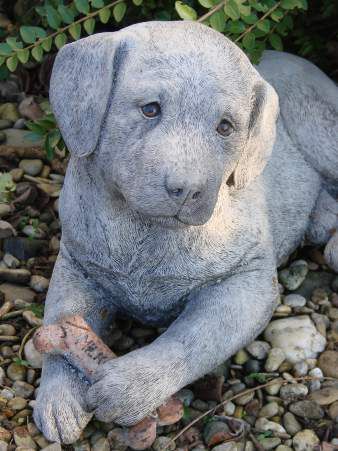 Labrador - Hund mit Knochen