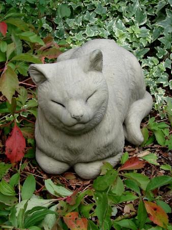 Dösende Katze aus England