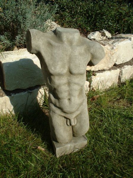 Torso male