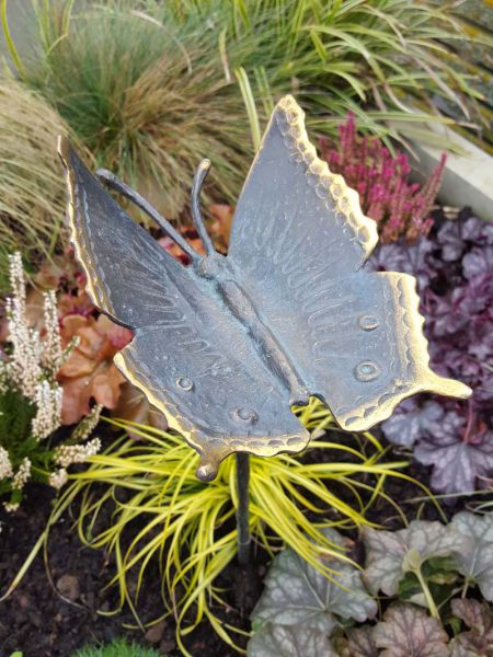 Rottenecker Bronze Schmetterling