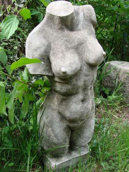 Frauentorso weiblicher Akt