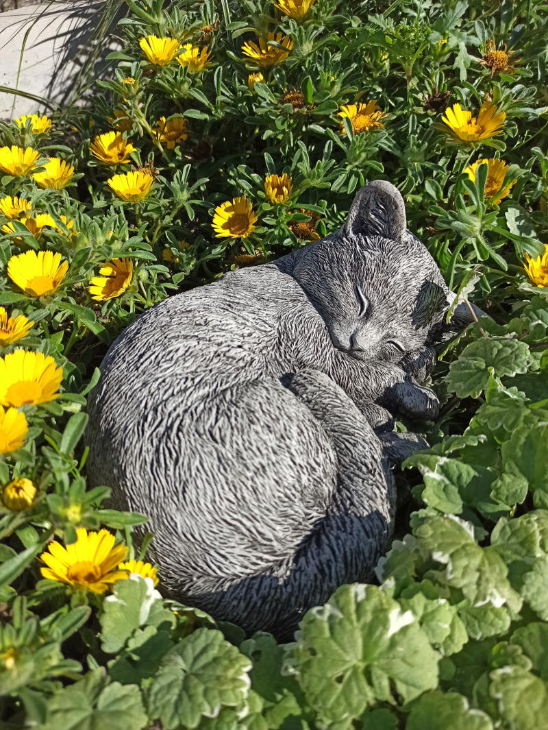 Stoneandstyle Steinfigur Katze Minka – Massiver Steinguss, Frostfest Bis -30°C, 19x12x7 Cm
