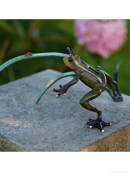 Bronzefrosch auf Schilf